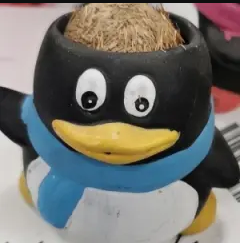 鱼皮